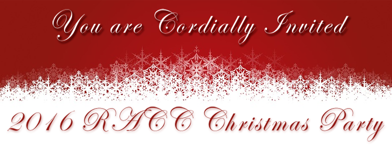 christmas party banner